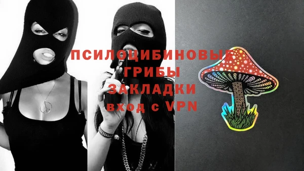 хмурый Богородск