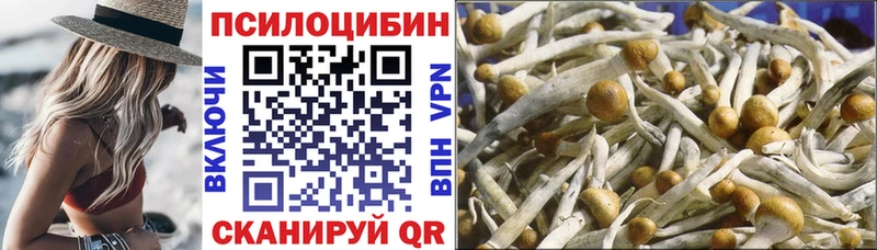 Псилоцибиновые грибы Magic Shrooms  наркотики  Александровское 
