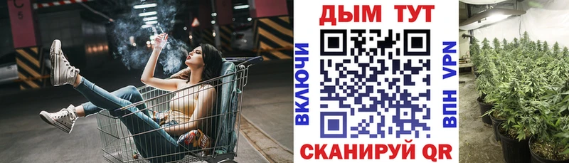 Каннабис конопля  Александровское 
